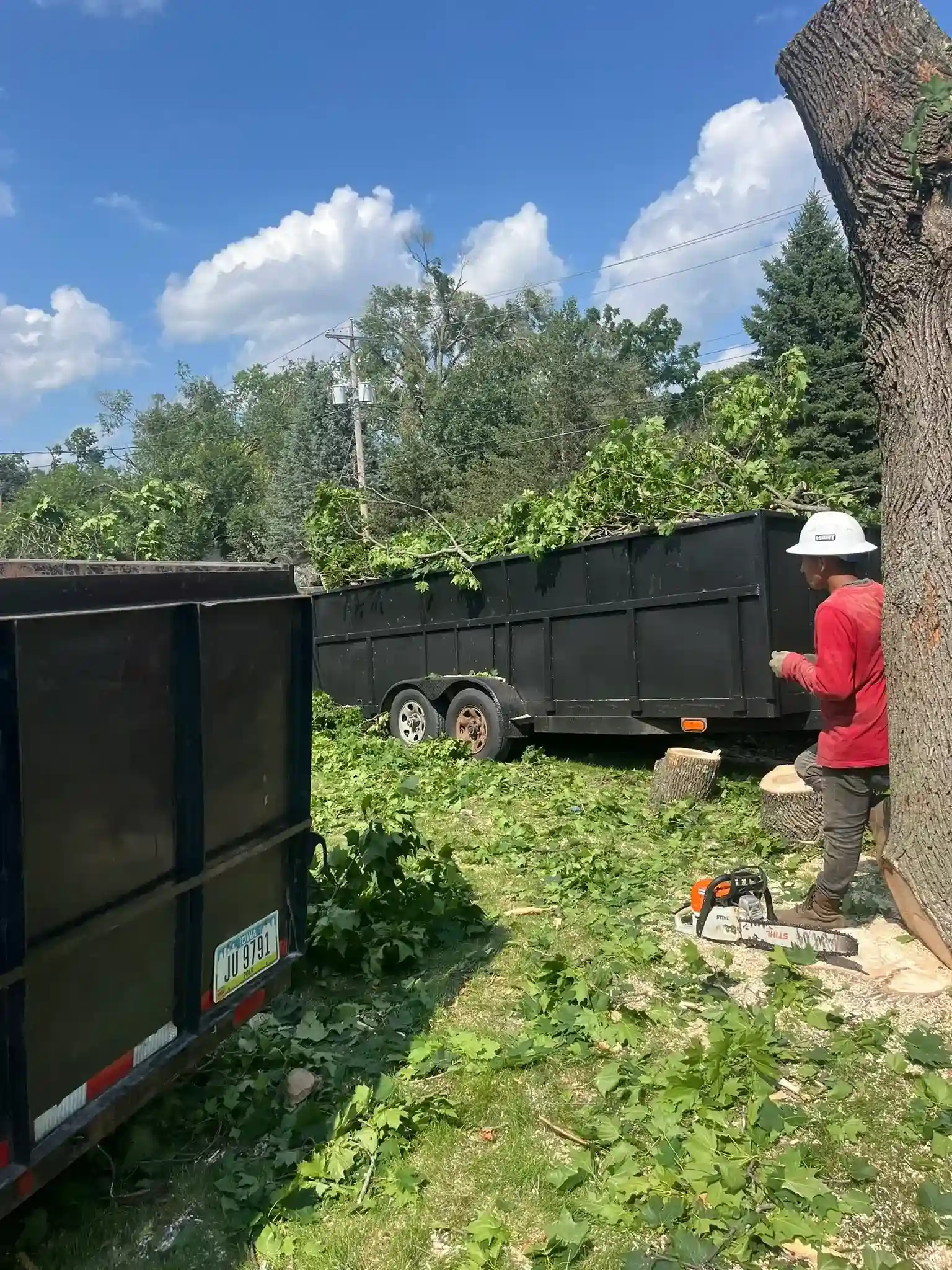 Tree 28
